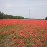 Διαμέρισμα Residenza Sant'anna *