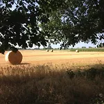 Διαμέρισμα Residenza Sant'anna Cuggiono