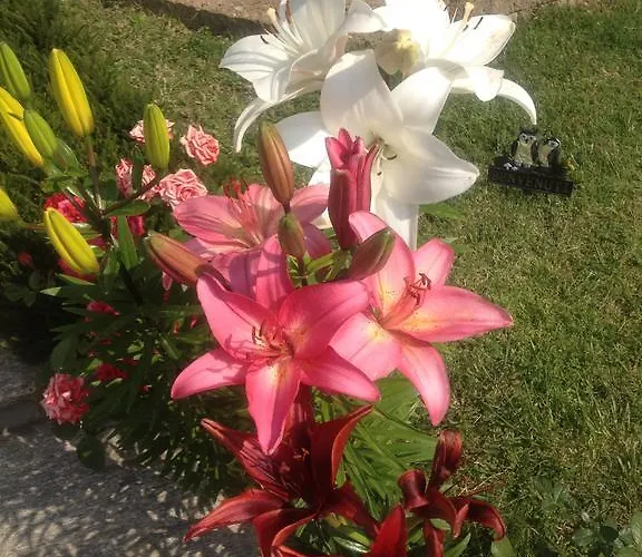 Residenza Sant'anna شقة