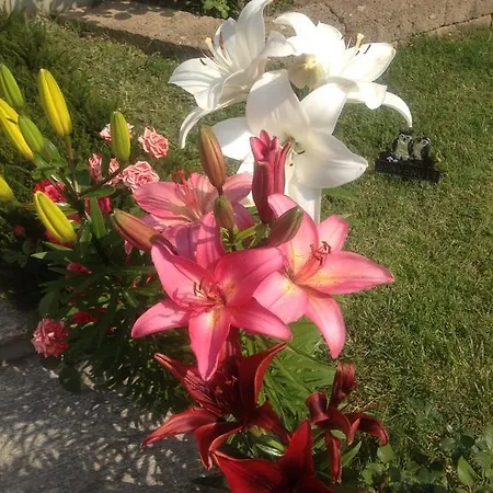 Residenza Sant'anna Appartement