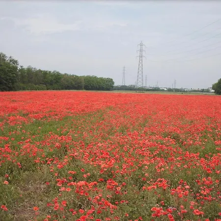 Appartement Residenza Sant'anna *