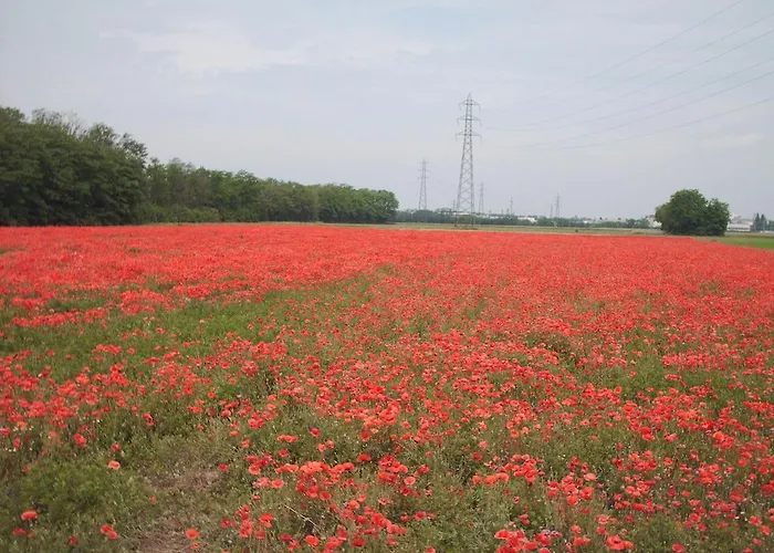 Apartment Residenza Sant'anna *